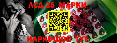 a pvp Новозыбков