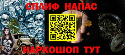 a pvp Новозыбков