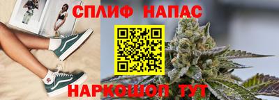 a pvp Новозыбков