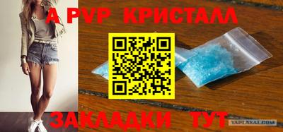 a pvp Новозыбков