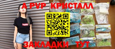 a pvp Новозыбков